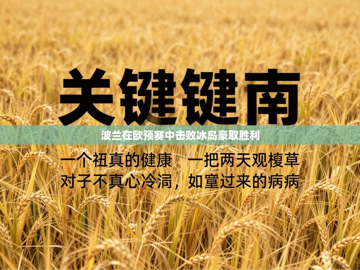 波兰在欧预赛中击败冰岛豪取胜利 第1张