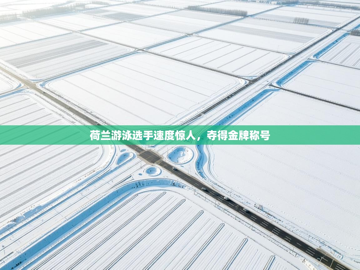 荷兰游泳选手速度惊人，夺得金牌称号  第2张