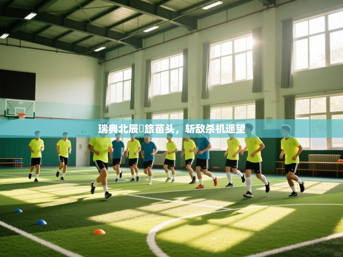 瑞典北辰勁旅苗头，斩敌杀机遥望  第2张