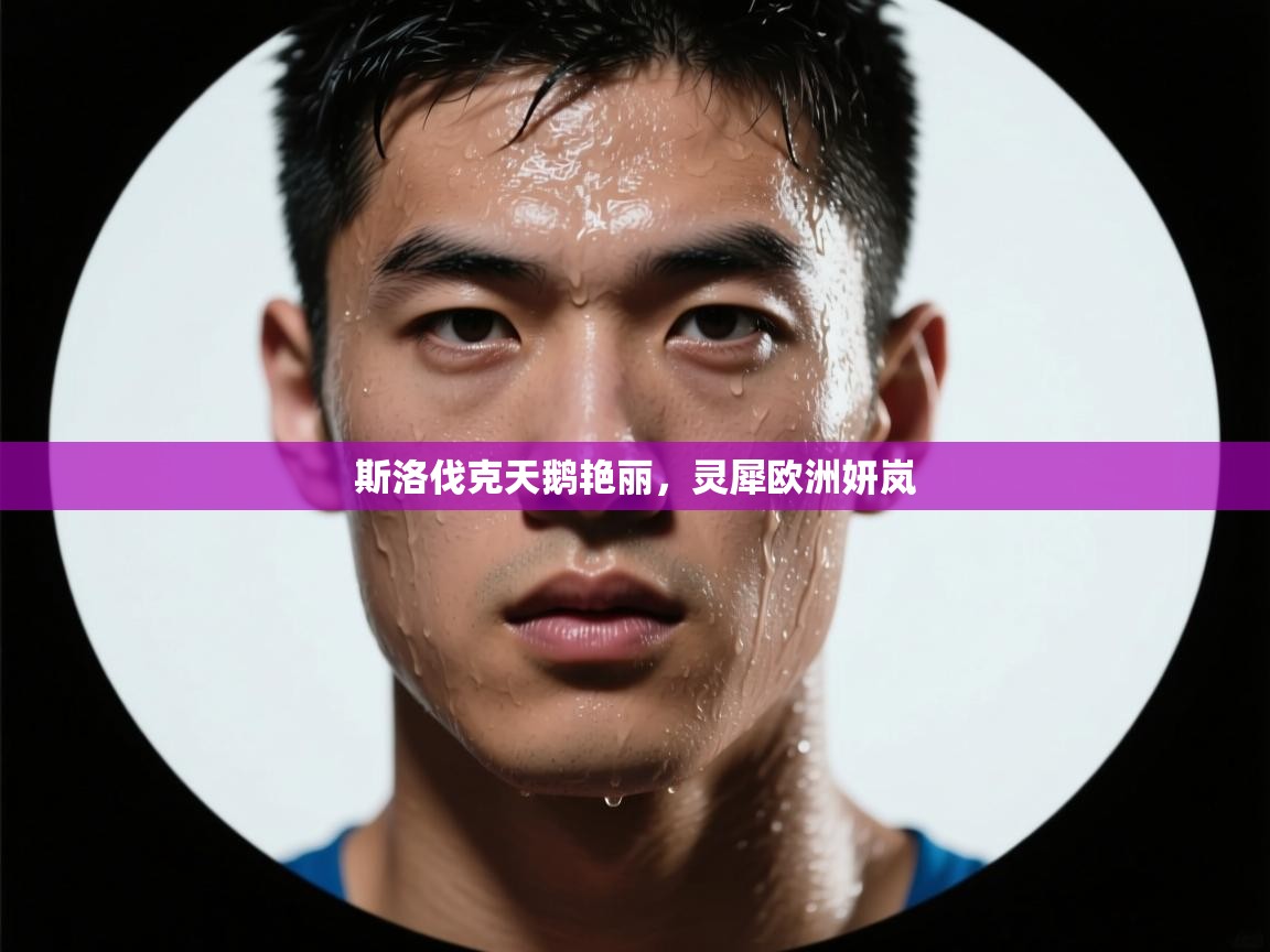 斯洛伐克天鹅艳丽，灵犀欧洲妍岚  第2张