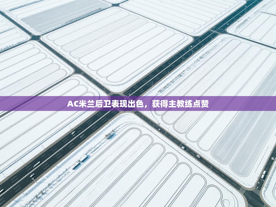 AC米兰后卫表现出色，获得主教练点赞  第2张