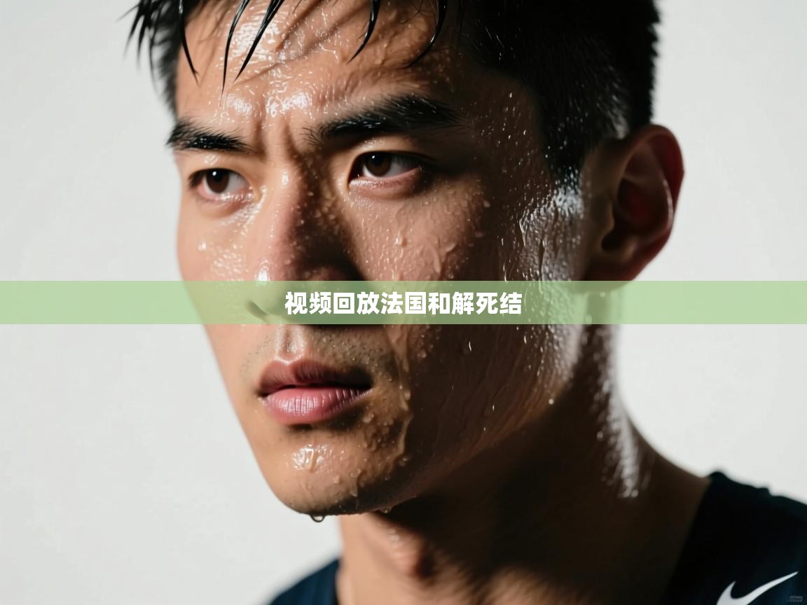 视频回放法国和解死结  第2张